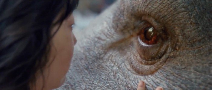 OKJA